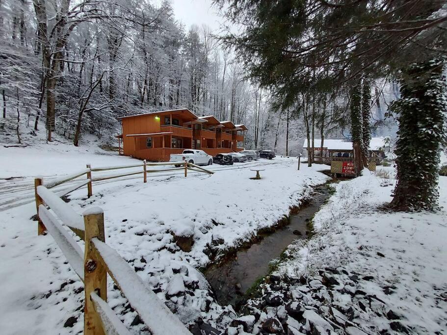 Cute Cabin Creek & Firepit #12 Helen Exterior photo