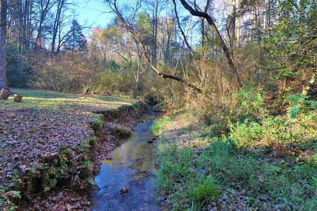 Cute Cabin Creek & Firepit #12 Helen Exterior photo